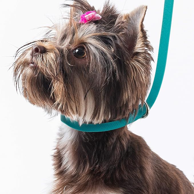 Jelly Pet Grooming Loop Slip Style (1/2" x 30", Teal) | Made in The USA