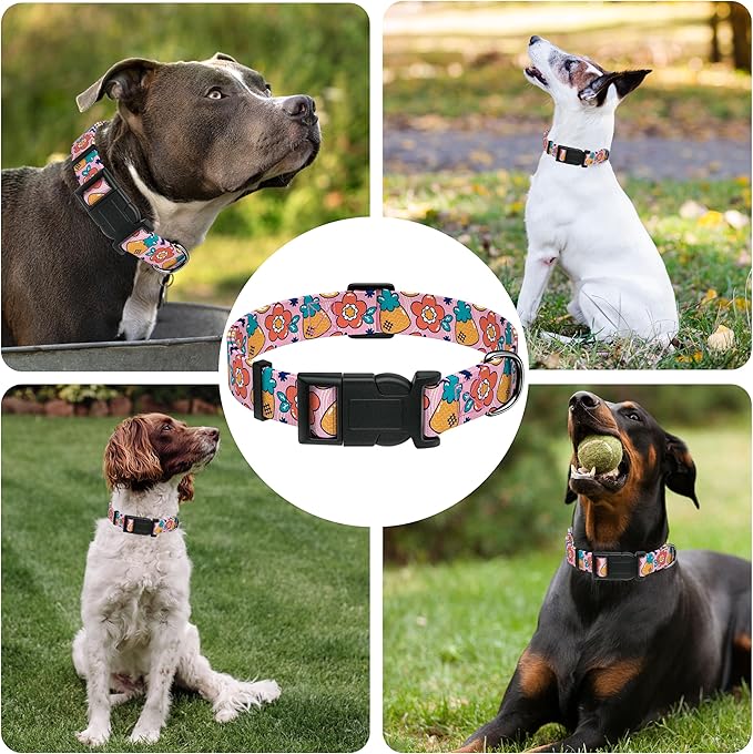 Dog Collar, Cute Cartoon Fruit Boys Girls Puppy Collar for Small Medium Large Dogs, Adjustable Soft Pet Collar with Safety Buckle for Male Females(Pink Cartoon, XL)