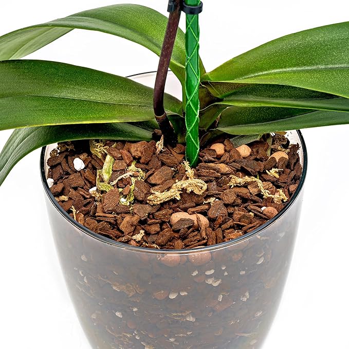 Organic Premium Orchid Soil Mix by Gardenera - Hand Mixed Classic Sphagnum Moss Potting Soil Mix - for Phalaenopsis Orchid - 20 Quart (4 Bags of 5 Quart)