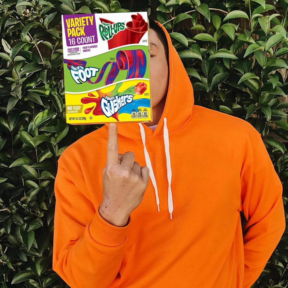 Fruit by the Foot 10.2 oz variety pack box with 16 gluten-free, vitamin C, individually wrapped pouches