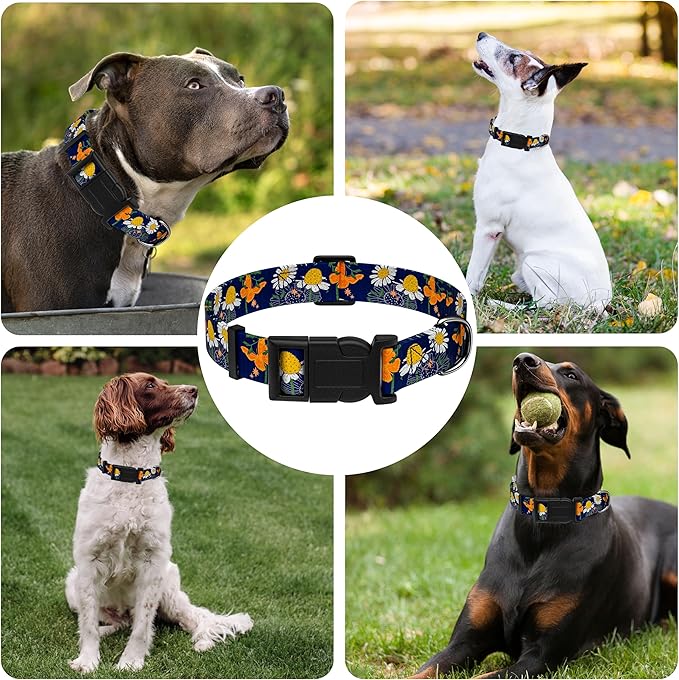 Dog Collar with Butterflies Print, Daisy Boys Girls Puppy Collar for Small Medium Large Dogs, Adjustable Soft Floral Pet Collar with Safety Buckle for Male Females(Blue Butterfly,S)