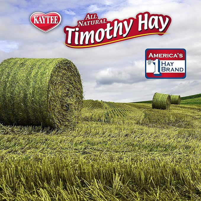 Kaytee Timothy Hay Plus Carrots for Pet Guinea Pigs, Rabbits & Other Small Animals, 24 oz